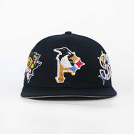 EVERYTHING PITTSBURGH FITTED ( PRE ORDER )