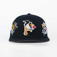 EVERYTHING PITTSBURGH FITTED ( PRE ORDER )