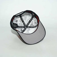 Boston Snap back